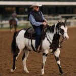 horse-trainer-d.-wayne-lukas,-winner-of-15-triple-crown-races,-dies-at-89