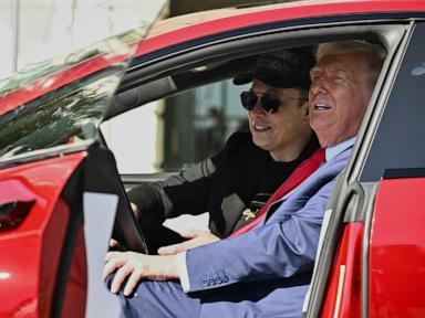 tesla-sales-fell-13%-in-the-last-three-months-amid-anti-musk-sentiment