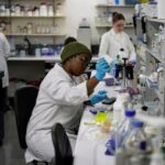 us-aid-cuts-halt-hiv-vaccine-research-in-south-africa,-with-global-impact