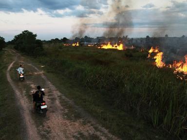 indonesian-police-arrest-44-people-suspected-of-starting-forest-fires