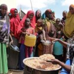 un-report-reveals-alarming-rise-in-africa’s-food-insecurity-despite-global-improvements