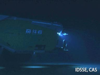submersible-finds-sea-creatures-thriving-in-the-deepest-parts-of-the-ocean