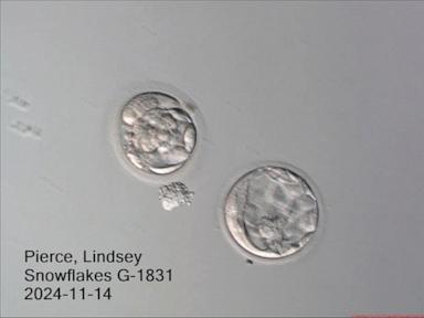 couple-welcomes-a-baby-boy-from-a-nearly-31-year-old-frozen-embryo