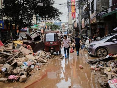 china-tackles-chikungunya-virus-outbreak-as-thousands-fall-ill