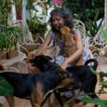 cuban-animal-lovers-struggle-to-feed-stray-cats-and-dogs-as-economic-crisis-bites