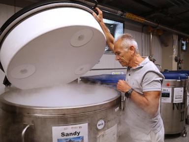 harvard-scientists-say-research-could-be-set-back-years-after-funding-freeze