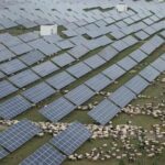 china-races-to-build-world’s-largest-solar-farm-to-meet-emissions-targets
