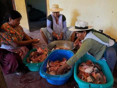 bolivia’s-supreme-court-issues-rare-order-that-could-see-detained-right-wing-politicians-freed