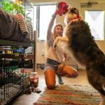 at-some-colleges,-move-in-day-includes-students’-dogs-and-cats