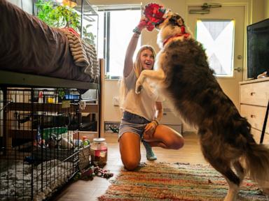 at-some-colleges,-move-in-day-includes-students’-dogs-and-cats