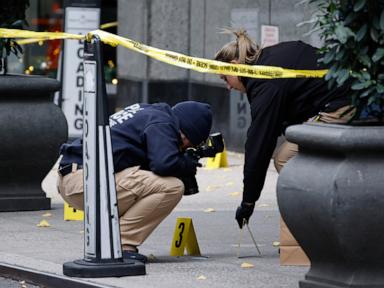 killing-of-unitedhealthcare-ceo-has-inspired-followers,-prosecutors-say