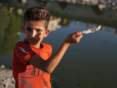 worst-drought-in-decades-threatening-syria’s-fragile-recovery-from-years-of-civil-war