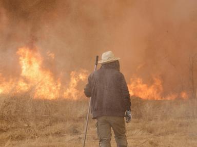 climate-change-made-iberian-wildfires-40-times-more-likely,-study-finds