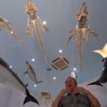 photos-show-scientists-breeding-rare-and-endangered-animals-in-china’s-longest-river