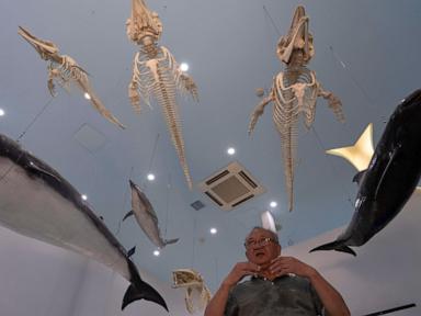 photos-show-scientists-breeding-rare-and-endangered-animals-in-china’s-longest-river