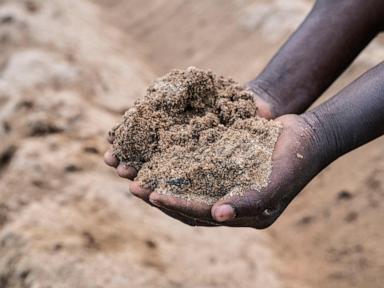 how-malawi-is-taking-ai-technology-to-small-scale-farmers-who-don’t-have-smartphones