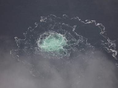 italy-approves-extradition-to-germany-of-ukrainian-suspect-in-north-stream-pipeline-explosions