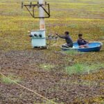 as-climate-risks-grow,-india’s-bengaluru-is-trying-to-save-its-vanishing-lakes