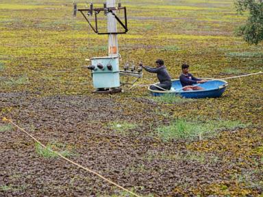 as-climate-risks-grow,-india’s-bengaluru-is-trying-to-save-its-vanishing-lakes