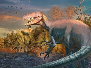 scientists-discover-a-new-dinosaur-from-argentina-with-a-crocodile-bone-in-its-mouth