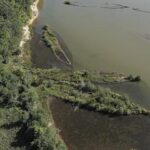 scientists-find-marine-life-thriving-on-world-war-ii-explosives-in-the-baltic-sea