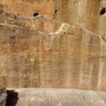 scientists-find-ancient-life-size-animal-rock-carvings-in-the-saudi-arabian-desert