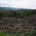 amazon’s-‘flying-rivers’-weaken,-scientists-warn-of-worsening-droughts