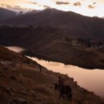 the-tiny-african-nation-of-lesotho-had-victories-in-its-hiv-fight.-then,-the-us-aid-cuts-came