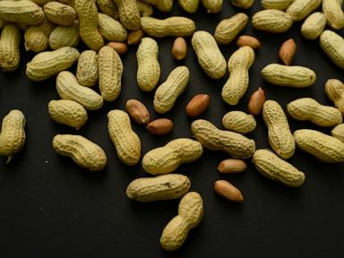 advice-to-feed-babies-peanuts-early-and-often-helped-60,000-kids-avoid-allergies,-study-finds
