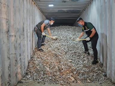 american-e-waste-causing-‘hidden-tsunami’-in-southeast-asia,-watchdog-report-says