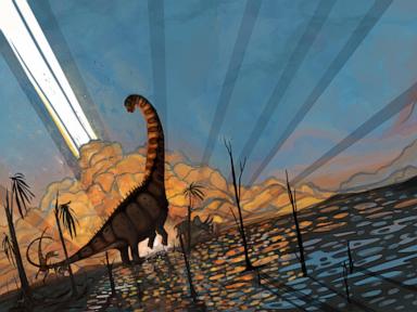 dinosaurs-thriving-in-north-america-before-mass-extinction-asteroid-strike:-study