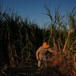 in-a-california-farming-region,-researchers-are-mapping-rural-heat-to-protect-farmworkers
