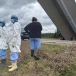 monkey-escape-gives-a-glimpse-into-the-secretive-world-of-animal-research