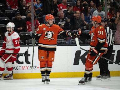 troy-terry-scores-twice-as-ducks-beat-red-wings-5-2