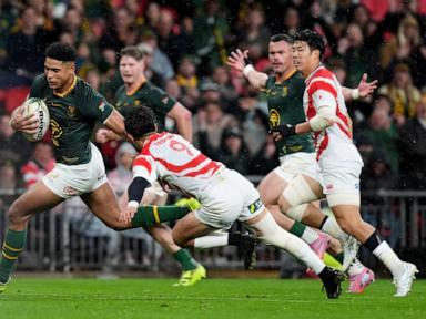 france-seeks-payback-against-springboks-and-all-blacks-face-lions-packed-scotland