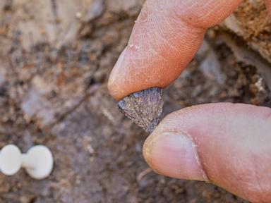 study-finds-humans-were-making-fire-400,000-years-ago,-far-earlier-than-once-thought