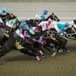 a-day-at-the-races:-how-venezuelans-find-joy-despite-familiar-political-turmoil