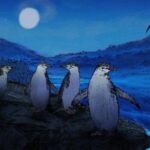 some-animals-have-evolved-extreme-ways-to-sleep-in-precarious-environments