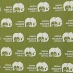kenyans-protest-after-roaming-elephants-kill-four-people-in-a-week