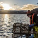 the-fishing-practice-of-scrapping-ocean-bottom-continues-despite-protection-promises