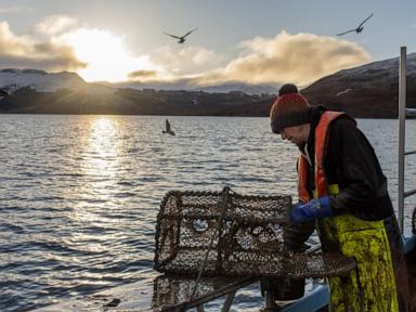 the-fishing-practice-of-scrapping-ocean-bottom-continues-despite-protection-promises