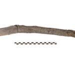 scientists-recover-the-oldest-wooden-tools-from-a-site-in-greece