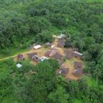 liberia’s-largest-gold-miner-repeatedly-spilled-dangerous-chemicals,-records-show