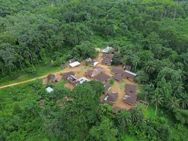 liberia’s-largest-gold-miner-repeatedly-spilled-dangerous-chemicals,-records-show