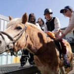 children-with-disabilities-find-joy-and-support-through-horse-therapy-in-taiwan