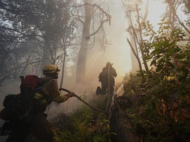 argentina-fires-ravage-pristine-patagonia-forests,-fueling-criticism-of-milei’s-austerity
