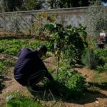 misery-deepens-in-the-west-bank-as-israel-provides-few-palestinian-work-permits