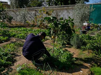 misery-deepens-in-the-west-bank-as-israel-provides-few-palestinian-work-permits