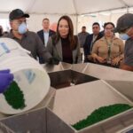 texas-center-to-disperse-sterile-screwworm-flies-to-block-parasite-it-spawns