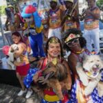 rio-carnival-street-party-dogs-parade-as-humans-protest-against-pet-killers